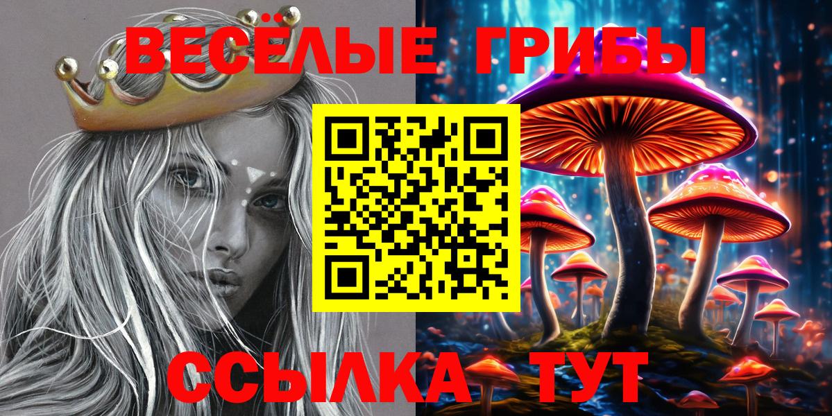 Галлюциногенные грибы мицелий  закладки  Ангарск  Вход с VPN 